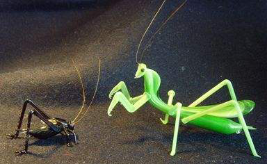 螳螂与蟋蟀