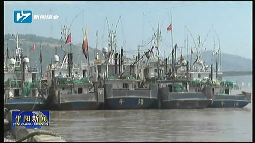 渔船频频出海 新鲜鱼获充盈市场