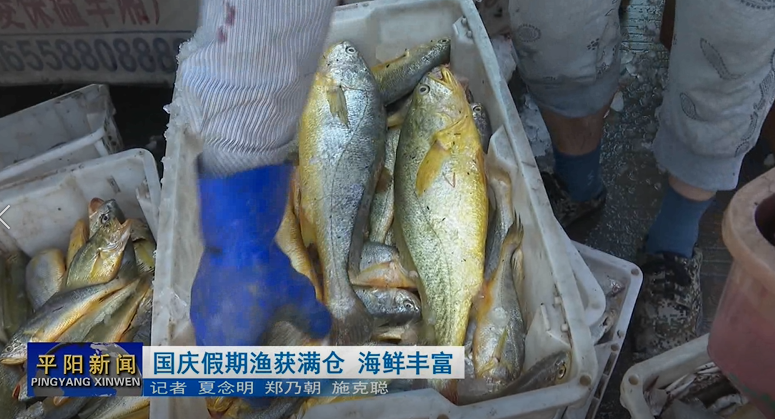 国庆假期渔获满仓 海鲜丰富