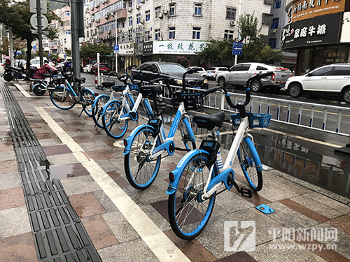 记者追踪｜共享单车“重出江湖”，你在文明使用吗？