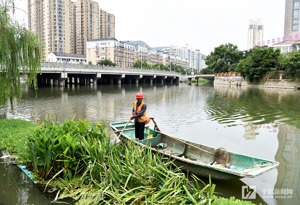 清理河道水草 优化城市环境、