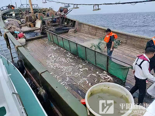 非法捕捞作业 1渔船8人被查获
